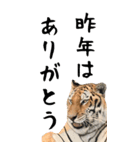 BIGなトラの寅年スタンプ！令和4年 お正月（個別スタンプ：22）