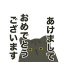 猫と寅（個別スタンプ：1）