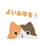 猫と寅（個別スタンプ：3）