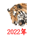 動物園のトラBIGスタンプ！年末年始 2022年（個別スタンプ：20）