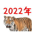 リアルな寅のお正月年賀スタンプ！【2022】（個別スタンプ：7）