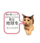 ももちゃんスタンプ・ファイナルエジション（個別スタンプ：21）