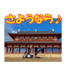 「走るおばさん♪」Nara編だよ♪（個別スタンプ：11）