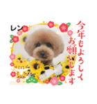 レンのスタンプ16（個別スタンプ：5）
