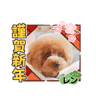 レンのスタンプ16（個別スタンプ：8）