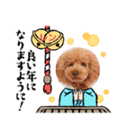 レンのスタンプ16（個別スタンプ：9）