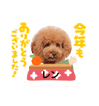 レンのスタンプ16（個別スタンプ：10）