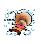 レンのスタンプ16（個別スタンプ：11）