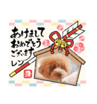 レンのスタンプ16（個別スタンプ：12）