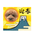 レンのスタンプ16（個別スタンプ：13）