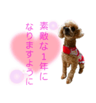 広島弁のトイプードルりゅうちゃん5正月編（個別スタンプ：5）