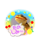 フトアゴ我太郎『色んな気持ち』スタンプ（個別スタンプ：7）
