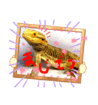 フトアゴ我太郎『色んな気持ち』スタンプ（個別スタンプ：8）