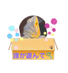 フトアゴ我太郎『色んな気持ち』スタンプ（個別スタンプ：12）