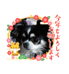 ハルくん ありがとう（個別スタンプ：1）