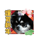 ハルくん ありがとう（個別スタンプ：2）