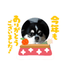 ハルくん ありがとう（個別スタンプ：4）