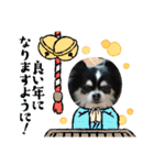 ハルくん ありがとう（個別スタンプ：6）