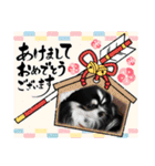 ハルくん ありがとう（個別スタンプ：7）