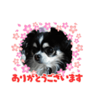 ハルくん ありがとう（個別スタンプ：23）