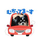 ハルくん ありがとう（個別スタンプ：27）