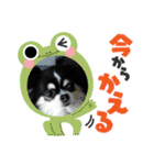 ハルくん ありがとう（個別スタンプ：28）