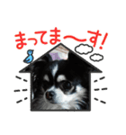 ハルくん ありがとう（個別スタンプ：38）