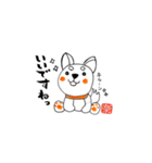 柴犬と 筆文字ฅ´•ᴥ•`ฅ（個別スタンプ：7）