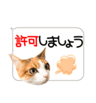 猫しか勝たん！2（個別スタンプ：4）