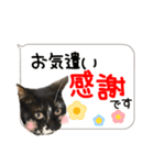 猫しか勝たん！2（個別スタンプ：21）