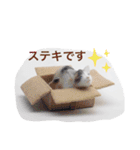 かわいいフェルトマスコット（個別スタンプ：7）