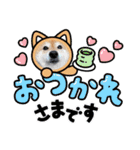 柴犬こころスタンプvol.2（個別スタンプ：1）