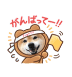 柴犬こころスタンプvol.2（個別スタンプ：4）
