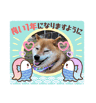 柴犬こころスタンプvol.2（個別スタンプ：9）