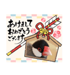 文鳥さん あけおめスタンプ！！（個別スタンプ：4）