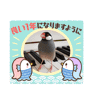文鳥さん あけおめスタンプ！！（個別スタンプ：5）