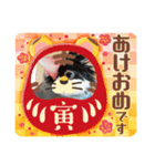 文鳥さん あけおめスタンプ！！（個別スタンプ：14）
