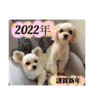 かずちゃんだぞpart⑤（個別スタンプ：20）