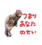 またむね（個別スタンプ：6）