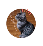 ガッシーねこーず39にゃんシリーズ①（個別スタンプ：11）