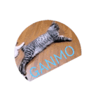ガッシーねこーず39にゃんシリーズ①（個別スタンプ：35）