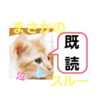 たけしの スタンプその29（個別スタンプ：1）