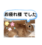 たけしの スタンプその29（個別スタンプ：2）