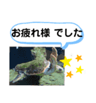 たけしの スタンプその29（個別スタンプ：4）