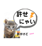 たけしの スタンプその29（個別スタンプ：10）
