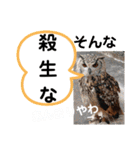 たけしの スタンプその29（個別スタンプ：11）