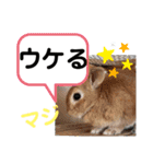 たけしの スタンプその29（個別スタンプ：13）