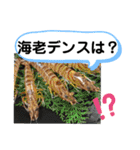 たけしの スタンプその29（個別スタンプ：14）
