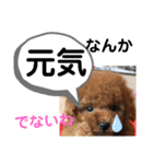 たけしの スタンプその29（個別スタンプ：15）