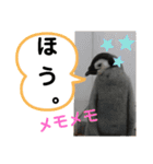 たけしの スタンプその29（個別スタンプ：17）